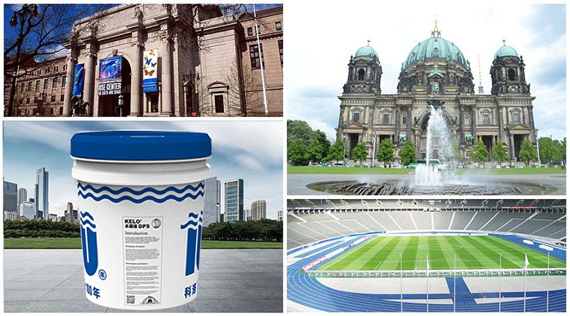 科洛永凝液DPS國外應用案例